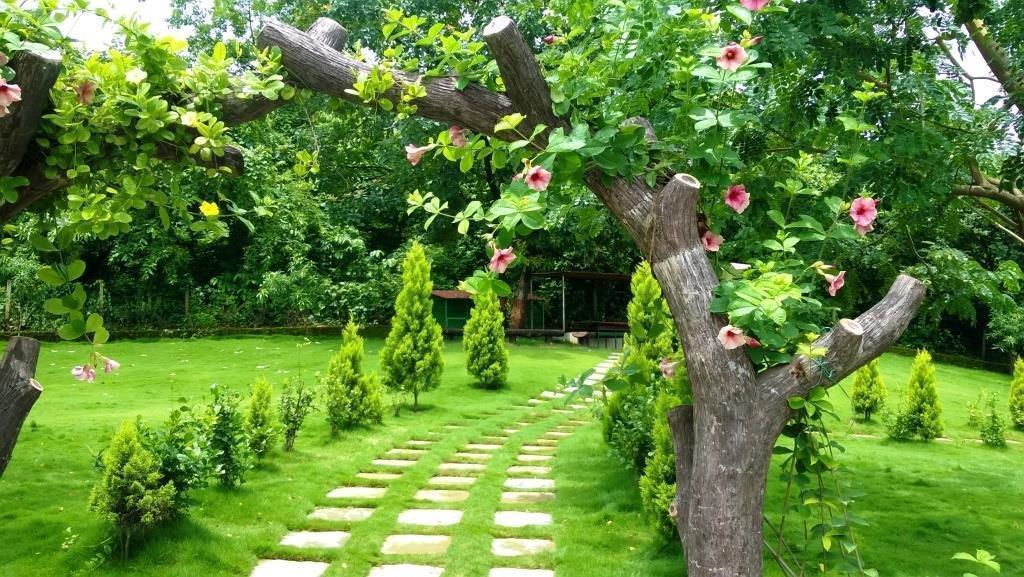 Sparsh Resort & Chalet Kalamb  Εξωτερικό φωτογραφία